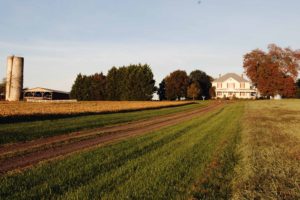 A picture of Fairview farm in Culpeper, Virginia